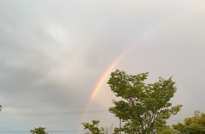 IMG_3927.jpg